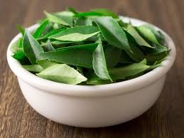 Neem Leaves Manufacturer Supplier Wholesale Exporter Importer Buyer Trader Retailer in Hyderabad Gujarat India